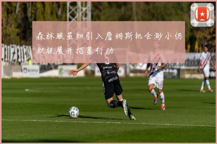 森林狼虽知引入詹姆斯机会渺小仍积极展开招募行动